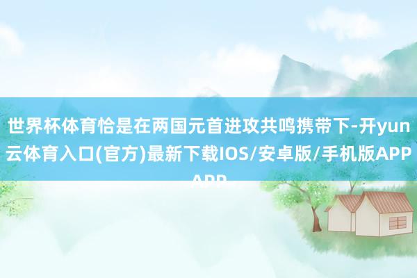 世界杯体育恰是在两国元首进攻共鸣携带下-开yun云体育入口(官方)最新下载IOS/安卓版/手机版APP