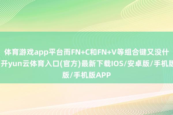 体育游戏app平台而FN+C和FN+V等组合键又没什么用-开yun云体育入口(官方)最新下载IOS/安卓版/手机版APP