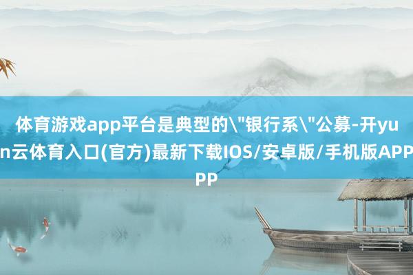 体育游戏app平台是典型的＂银行系＂公募-开yun云体育入口(官方)最新下载IOS/安卓版/手机版APP