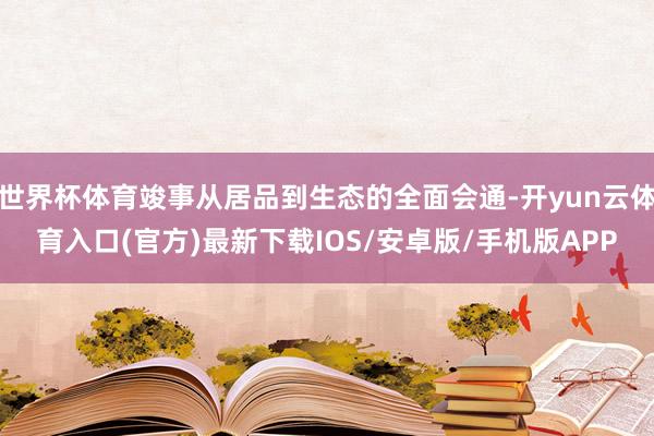 世界杯体育竣事从居品到生态的全面会通-开yun云体育入口(官方)最新下载IOS/安卓版/手机版APP